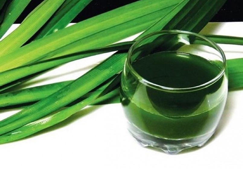 Lá dứa thơm có nhiều công dụng tốt với sức khỏe.