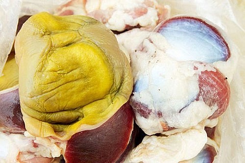 Màng mề gà quý hơn đông trùng hạ thảo