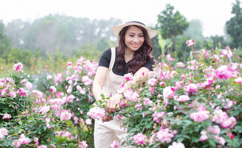 Mỗi lứa hoa hồng đều được chị Ánh Quyên nâng niu, chăm sóc. Tìm thấy niềm vui từ triệu bông hồng khiến chị luôn trẻ trung.