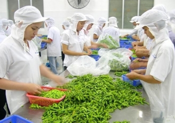 Bắc Giang: Thành lập Cụm công nghiệp Thanh Sơn với mức đầu tư Dự án gần 500 tỷ đồng