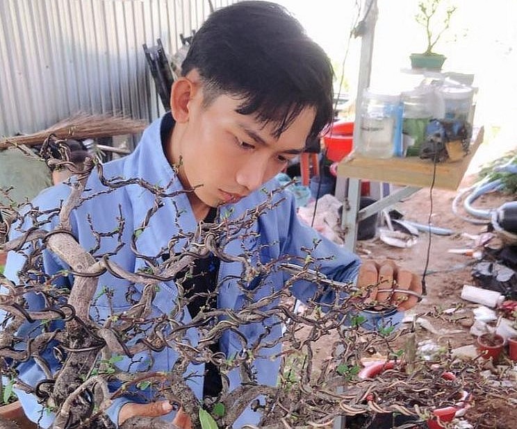 Đức hy vọng có thể theo đuổi nghề trồng bonsai mini lâu dài.