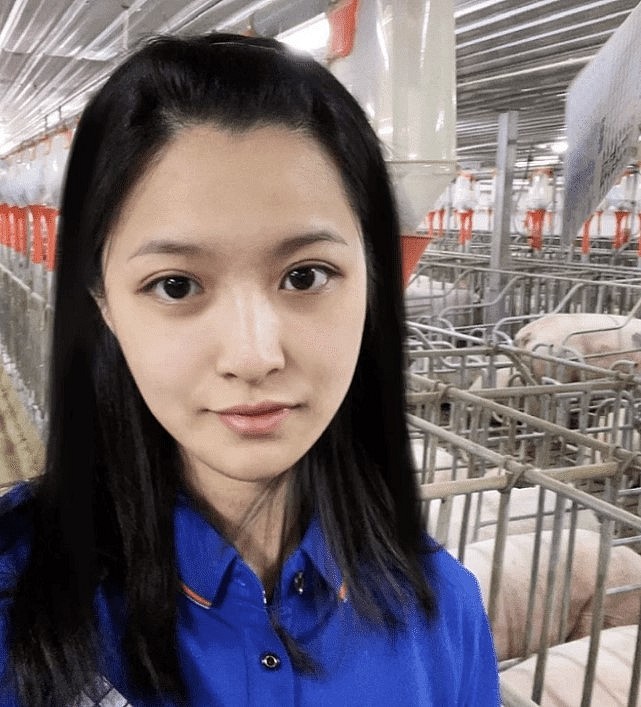 Tôn Trác về quê nuôi lợn sau khi tốt nghiệp đại học.