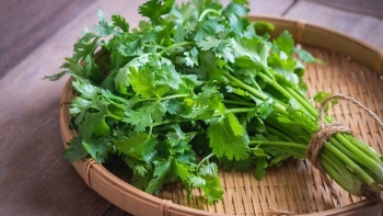 Loại rau gia vị bán rẻ bèo ở chợ tưởng chỉ để tô điểm món ăn, hoá ra có tác dụng thần kỳ cho sức khoẻ