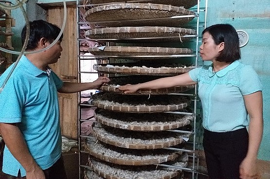 Nhờ nuôi trứng tằm săn, gia đinh ông Trí (bên trái) thu lãi 700 triệu đồng/năm.