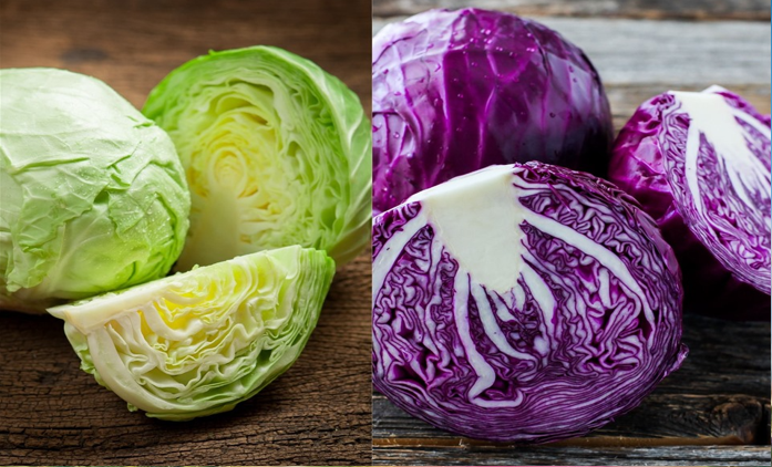 Loại bắp cải chứa nguồn dinh dưỡng gấp 10 lần cải trắng, cực tốt cho miễn dịch nhưng lại bị “quên”