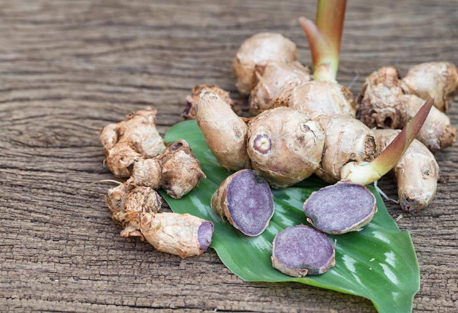 Bề ngoài không khác gì gừng ta thông thường