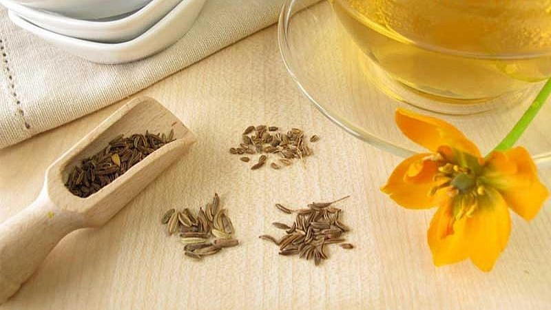 Trà thì là Hỗ trợ điều trị hội chứng ruột kích thích Trà thì là Hỗ trợ điều trị hội chứng ruột kích thích