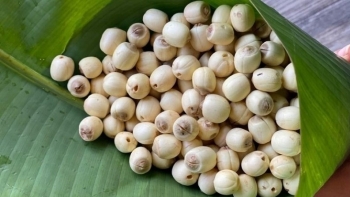 4 loại hạt được mệnh danh là "tứ đại bổ dưỡng", vừa là thực phẩm ngon, vừa là vị thuốc quý