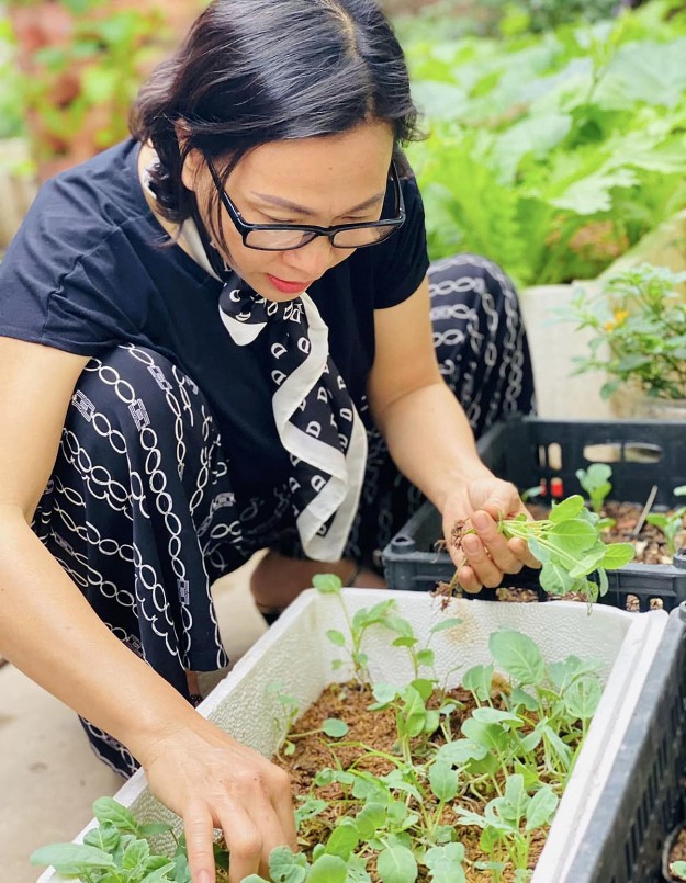 Trong sân nhà rộng 70 m2, chị Lan Anh trồng rau theo mùa và đủ rau gia vị. 