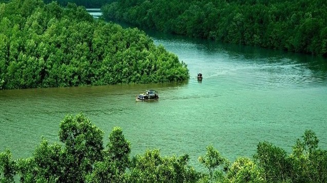 Những 9 điểm du lịch hút khách nhất Cà Mau đã đến chẳng muốn về