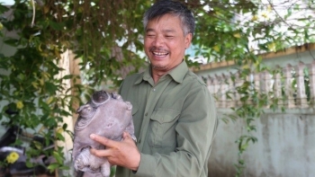 Nuôi la liệt con đặc sản lạ dưới ao bèo, bắt lên con nào con đó to đùng, nhà hàng mua làm đặc sản nhà nông xây biệt thự