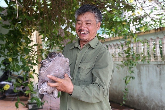 Nuôi ba ba giống và thương phẩm mang lại giá trị kinh tế cao Nuôi ba ba giống và thương phẩm mang lại giá trị kinh tế cao