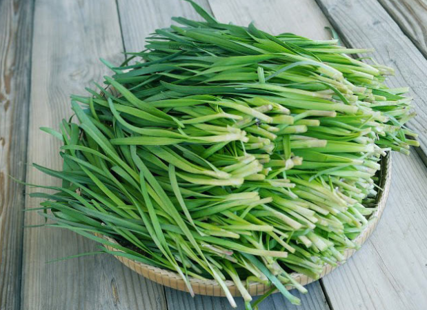 Rau hẹ, thứ rau mùa xuân