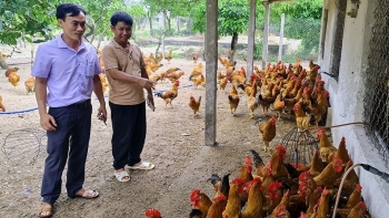 Ông nông dân biến đồi hoang thành trang trại tiền tỷ, cả làng kéo đến hỏi bí quyết làm giàu