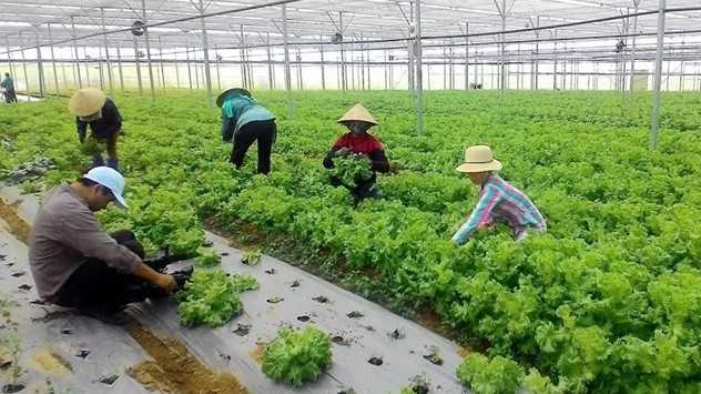 Những lưu ý khi chọn mua nông sản sạch