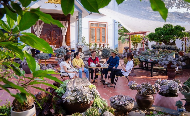 Vườn sen đá tiền tỷ nhưng giá trị tinh thần còn lớn hơn nhiều khi đó là nơi gắn kết gia đình.