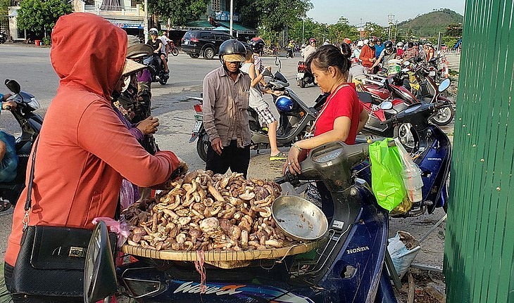 Nấm tràm hài xong đưa về chợ người dân xếp hàng chờ mua.