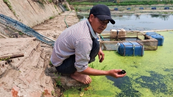 Nuôi con đặc sản xù xì, dọa không chạy, lão nông dân ở Hải Dương kiếm 400 -500 triệu đồng mỗi năm