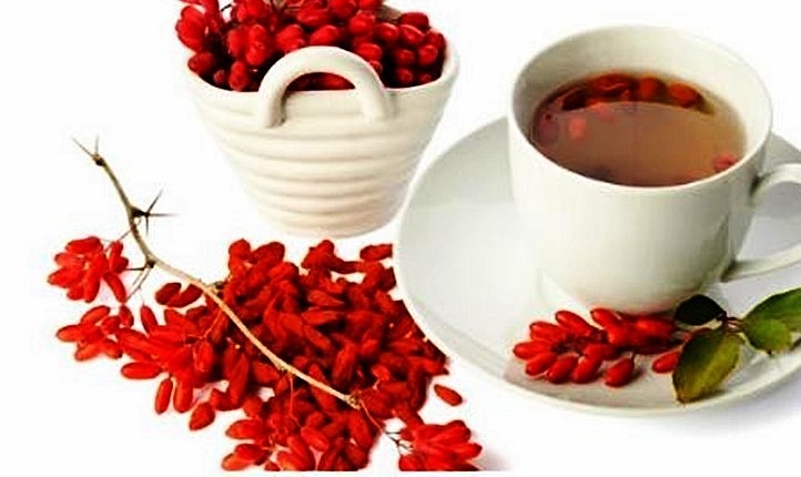 Bộ chính của câu kỷ tử sử dụng làm thuốc Đông y là quả.