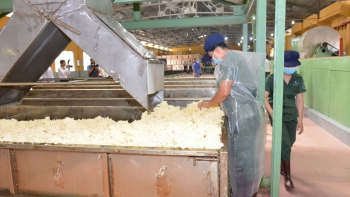 Xuất khẩu cao su sang Trung Quốc giảm hơn 23% về trị giá