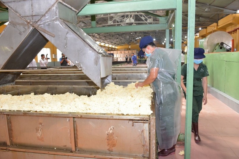 Xuất khẩu cao su sang Trung Quốc giảm hơn 23% về trị giá