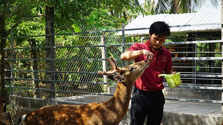 Anh Việt cho hươu ăn