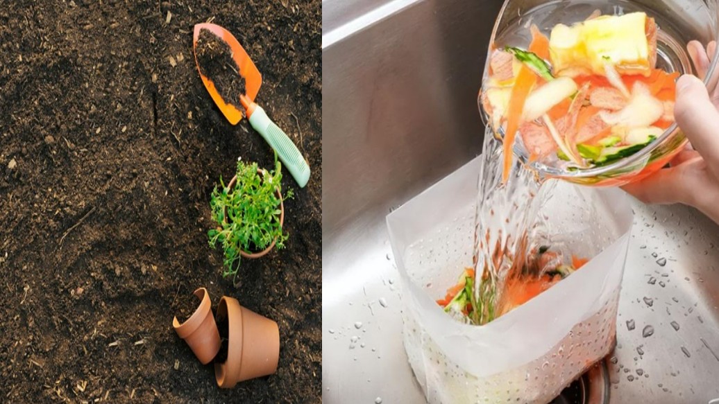 Khi trồng hoa 4 loại đất không được dùng, 3 loại nước không được tưới