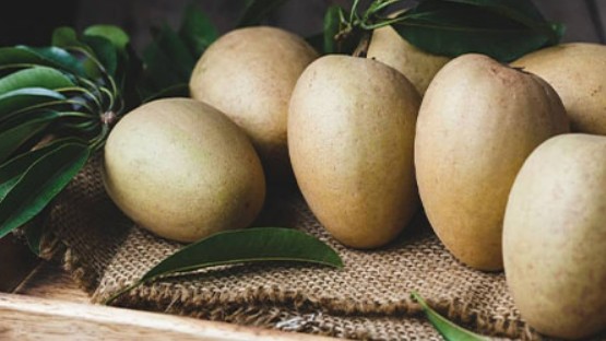 Khi mua hồng xiêm cứ nhớ mẹo này lướt qua biết ngay quả nào chín ngọt tự nhiên quả nào ngâm hóa chất