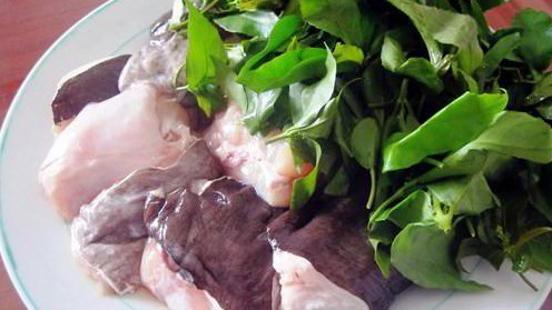 Xưa là lá vô danh trong rừng sâu, nay thành đặc sản nổi tiếng, đem nấu canh chua thịt gà khiến bao người mê mệt