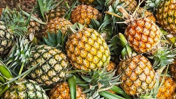 Tác dụng tuyệt vời của trái dứa không phải ai cũng biết