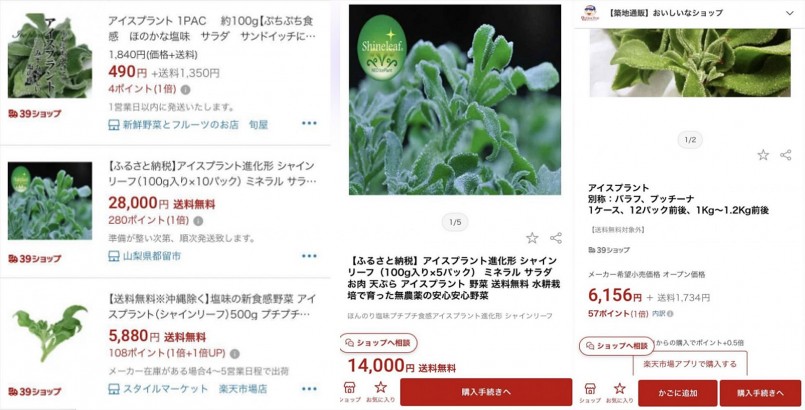 Mức giá bán tại Nhật Bản dao động từ khoảng 1 đến 7 triệu đồng/kg tươi. Mức giá bán tại Nhật Bản dao động từ khoảng 1 đến 7 triệu đồng/kg tươi.