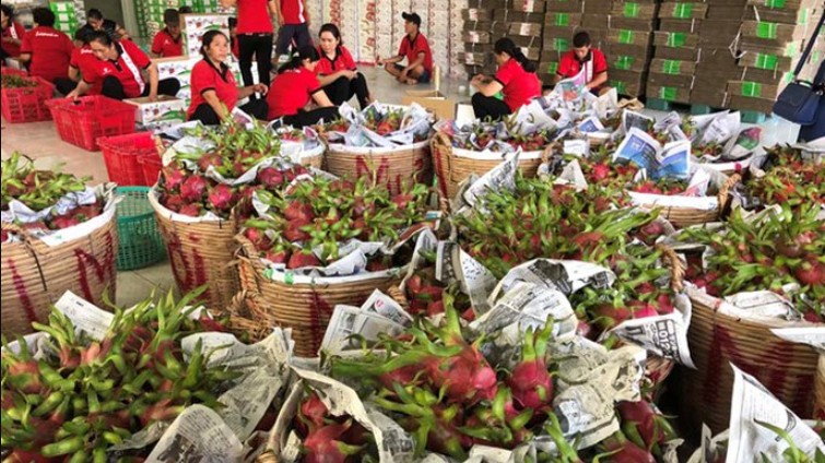 Tăng trưởng xuất khẩu của Việt Nam sang một số thị trường ASEAN