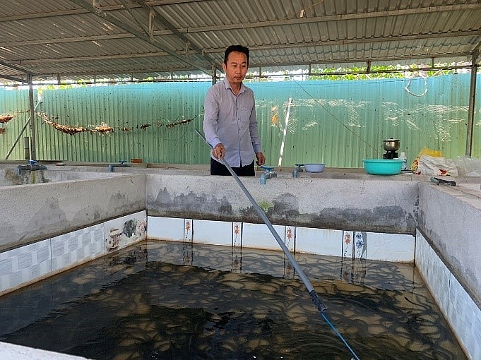 Mô hình nuôi lươn không bùn cua anh Giang Mô hình nuôi lươn không bùn cua anh Giang