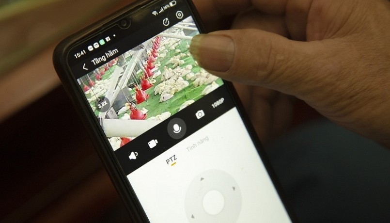 Chỉ với một chiếc điện thoại thông minh được kết nối với hệ thống chăn nuôi trong chuồng, ông Cường có thể kiểm tra tình trạng của đàn vịt, điều chỉnh nhiệt độ, độ ẩm, cho vịt ăn từ xa...