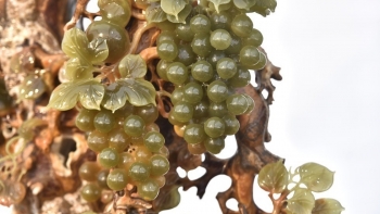 Choáng ngợp trước Lão Nho cổ lão phát tinh hoa, dáng trực đầu rồng bằng ngọc nguyên khối