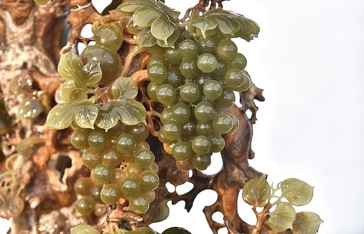 Lão Nho cổ thụ nhưng vẫn ra quả trĩu trịt, sum suê cành lá, quả mọng tươi. Lão Nho cổ thụ nhưng vẫn ra quả trĩu trịt, sum suê cành lá, quả mọng tươi.