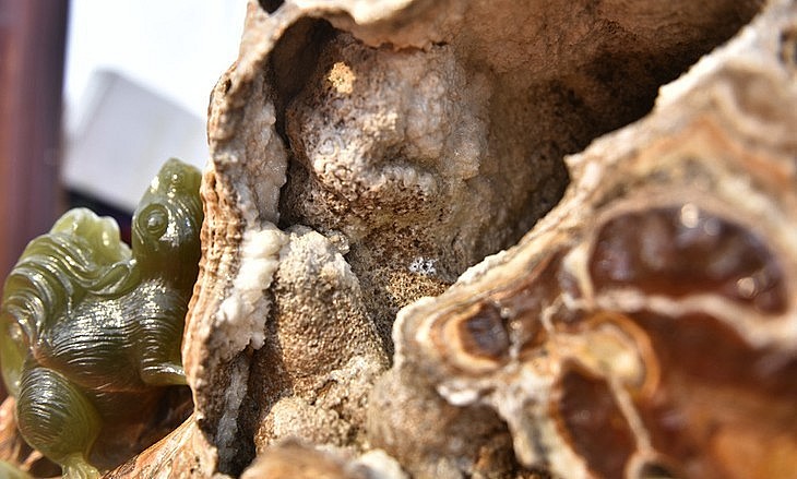 Gốc cây già nua, có cả lũa rất tự nhiên Gốc cây già nua, có cả lũa rất tự nhiên