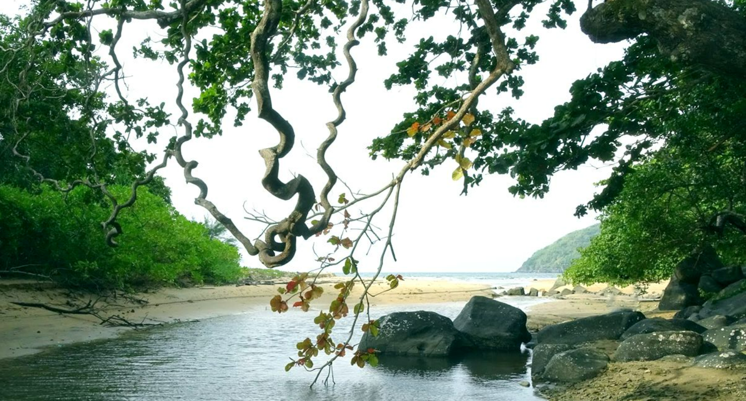 10 điểm đến du lịch đẹp nhất Côn Đảo, còn có bãi biển "bí mật" không nhiều người biết