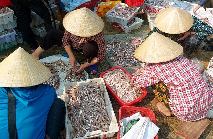 Nhiều chủ tàu huy động các thành viên trong gia đình ra hỗ trợ phân loại cá để bán. Ảnh: Hùng Lê