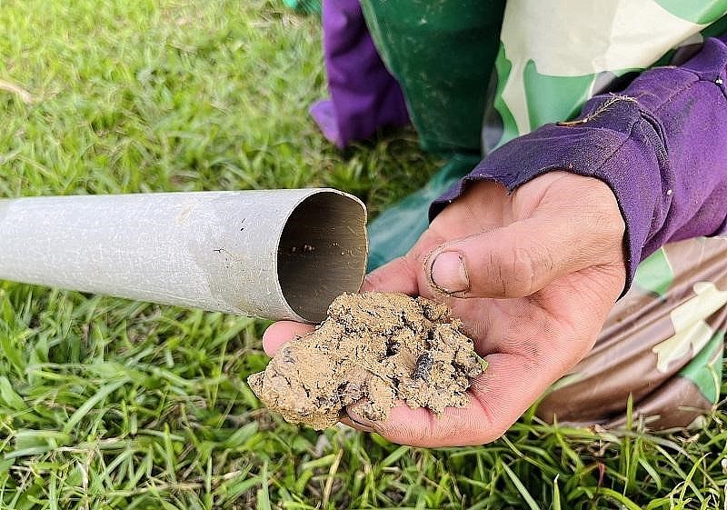 Đặt mồi trong trúm để nhử lươn vào. Dựa vào đặc tính thích ăn các loài cá, ốc, giun đất nên người dân sẽ băm nhuyễn rồi trộn với đất bùn hoặc đất thó cho vào ống để làm mồi. Đặt mồi trong trúm để nhử lươn vào. Dựa vào đặc tính thích ăn các loài cá, ốc, giun đất nên người dân sẽ băm nhuyễn rồi trộn với đất bùn hoặc đất thó cho vào ống để làm mồi.