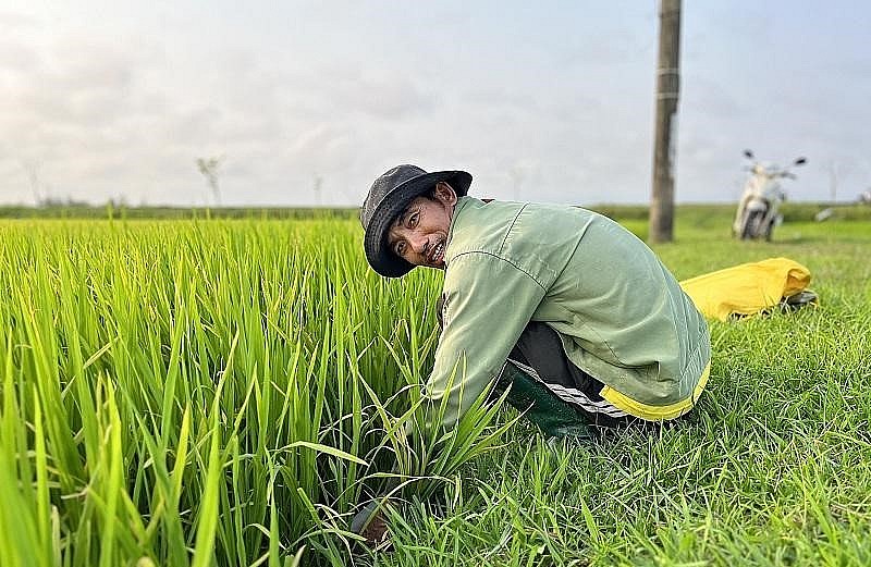 Để đảm bảo lươn khi vào trúm không bị ngạt khí, người dân sẽ đưa đầu trúm cắm xuống đất, còn phần đuôi chếch lên khoảng 45 độ. Để đảm bảo lươn khi vào trúm không bị ngạt khí, người dân sẽ đưa đầu trúm cắm xuống đất, còn phần đuôi chếch lên khoảng 45 độ.
