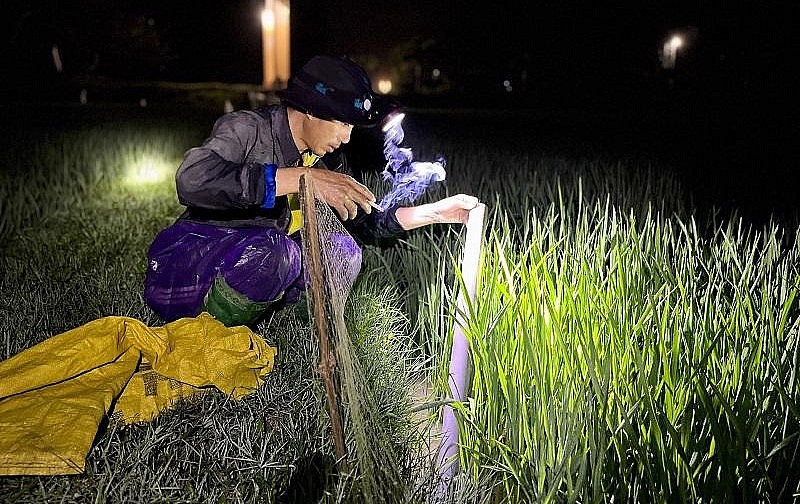 Muốn bắt được nhiều lươn thì phải tìm hiểu trước khu vực thả trúm. Những nơi lươn hay làm hang thường có lớp bùn đất mềm sát bờ cỏ ngập nước, gốc tre, bụi cây mấp mé ao hồ, sông suối… Muốn bắt được nhiều lươn thì phải tìm hiểu trước khu vực thả trúm. Những nơi lươn hay làm hang thường có lớp bùn đất mềm sát bờ cỏ ngập nước, gốc tre, bụi cây mấp mé ao hồ, sông suối…