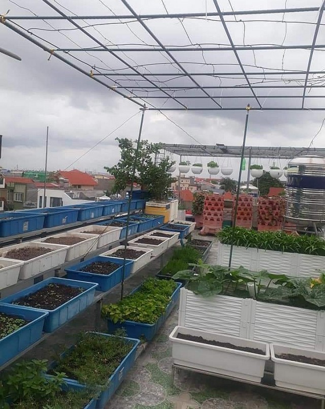 Khu vườn khi còn sơ khai là công sức vất vả của anh chị và người thân.