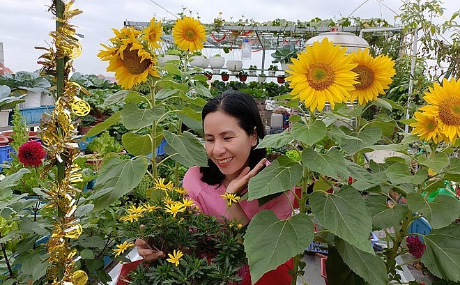 Mỗi vụ thu hoạch rau quả trên vườn rau sân thượng, chị lại mang biếu người thân.