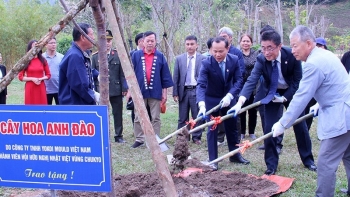 Trồng 120 cây hoa anh đào tại Khu du lịch tâm linh - sinh thái Tây Yên Tử nhân dịp kỉ niệm 50 năm thiết lập quan hệ ngoại giao Việt Nam - Nhật Bản