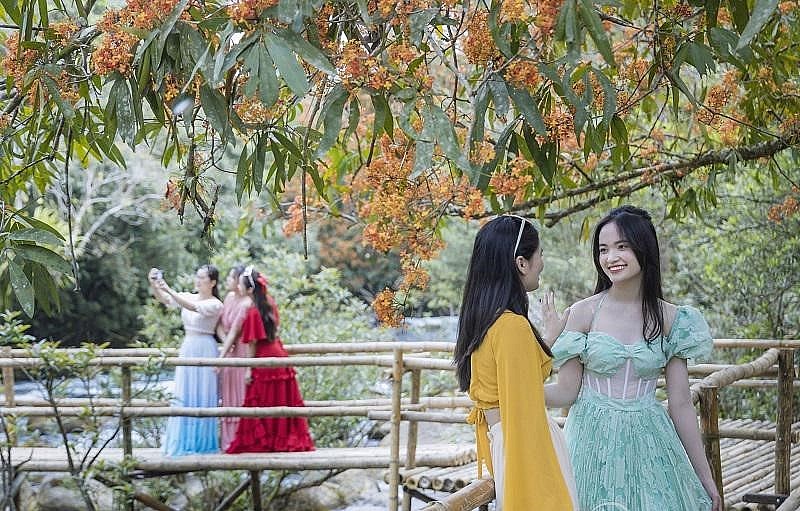  Nhiều du khách đến đúng kỳ hoa nở không khỏi ngỡ ngàng trước dáng vẻ kiêu sa, lộng lẫy bởi loài hoa mang cái tên “ Vô Ưu” này.