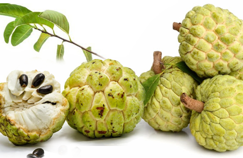 Những tác dụng ít ai biết về na