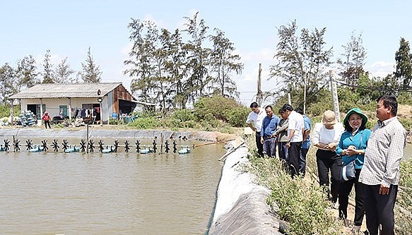 Tổ tăng cường giám sát, quản lý dịch bệnh vụ nuôi tôm giám sát thực tế ao nuôi tôm của bà con nông dân tại xã Trung Bình, huyện Trần Đề (Sóc Trăng). 