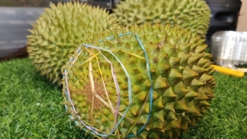 Sầu riêng ngon nhất thế giới “made in Việt Nam”, mua 1kg mất ngay tiền triệu