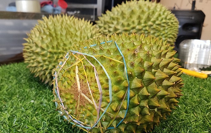 Sầu riêng Musang King trồng ở miền Tây được rao bán giá 900 nghìn đồng/kg 
